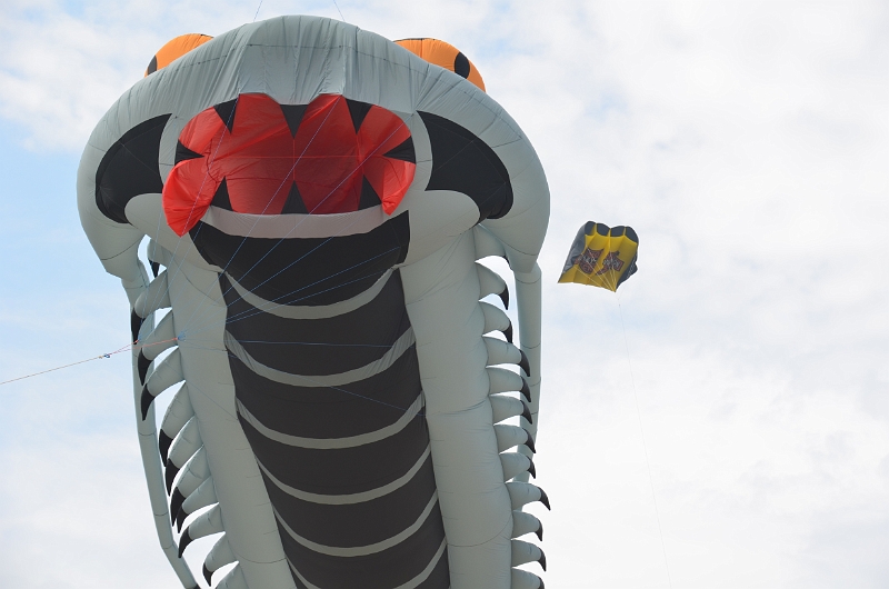 bray dunes 2018 351.JPG